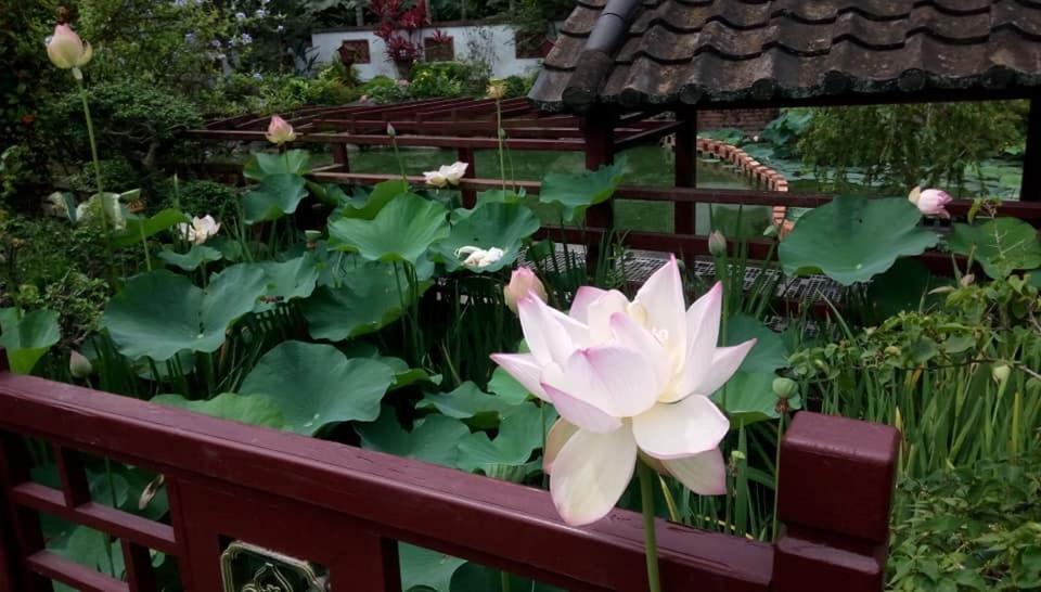 Chinese Garden Houses Apartamento Pingtung Exterior foto