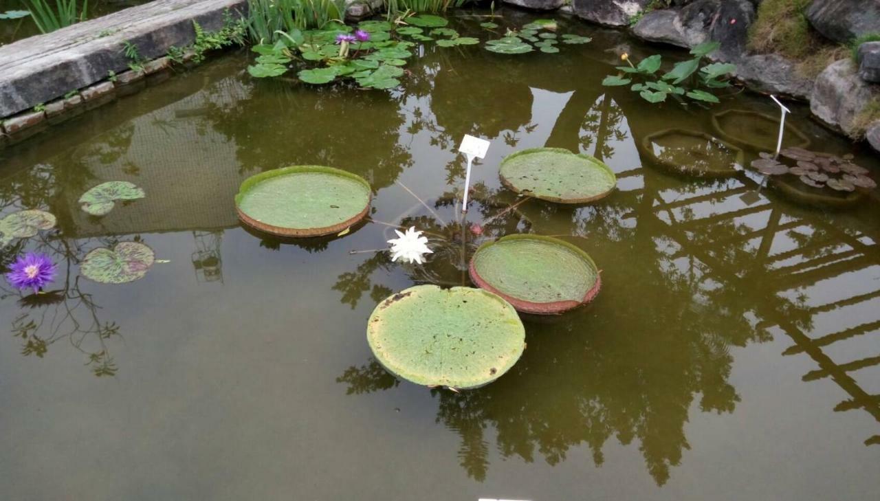 Chinese Garden Houses Apartamento Pingtung Exterior foto